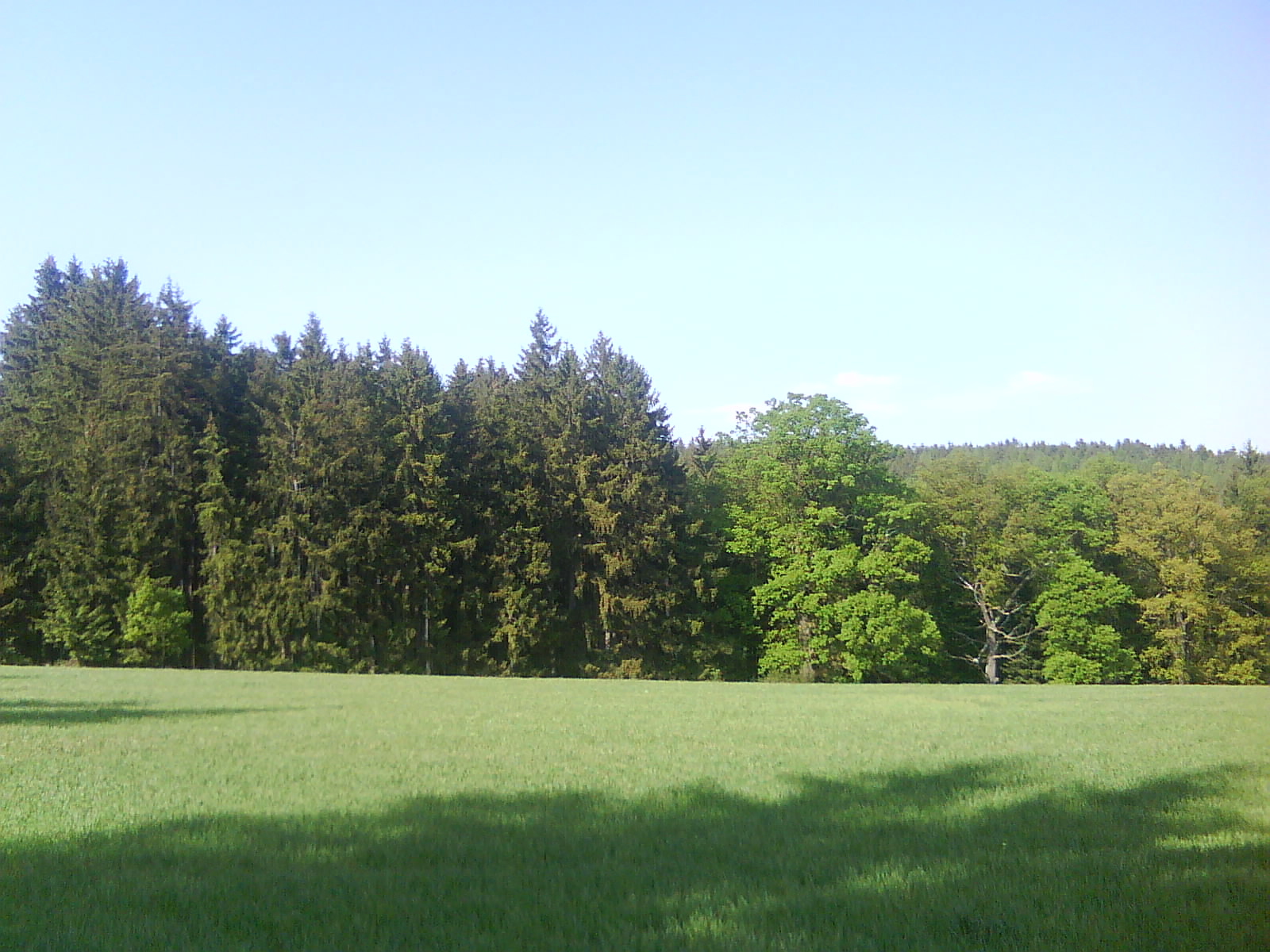 DSC01458.JPG