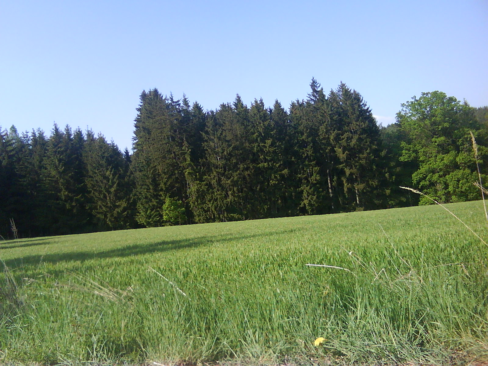 DSC01460.JPG