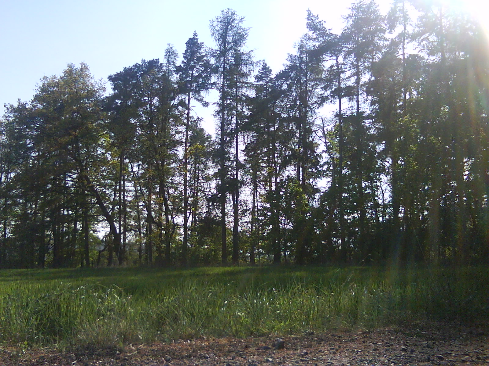 DSC01461.JPG