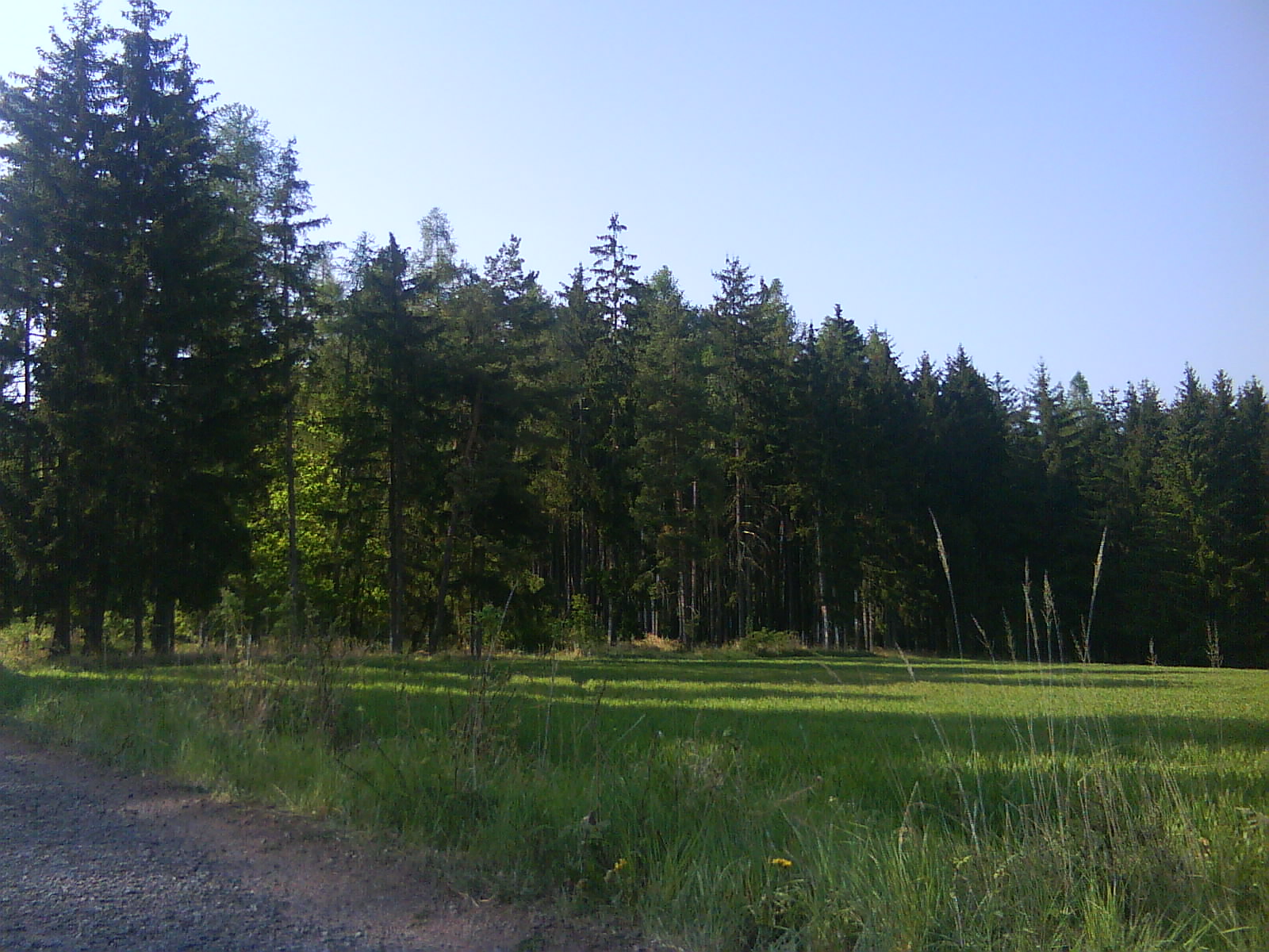 DSC01462.JPG