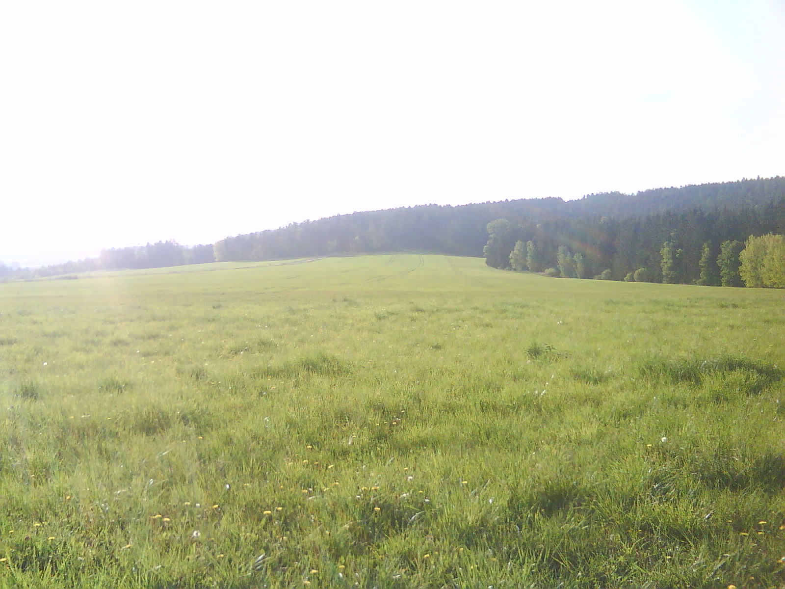 DSC01468.JPG