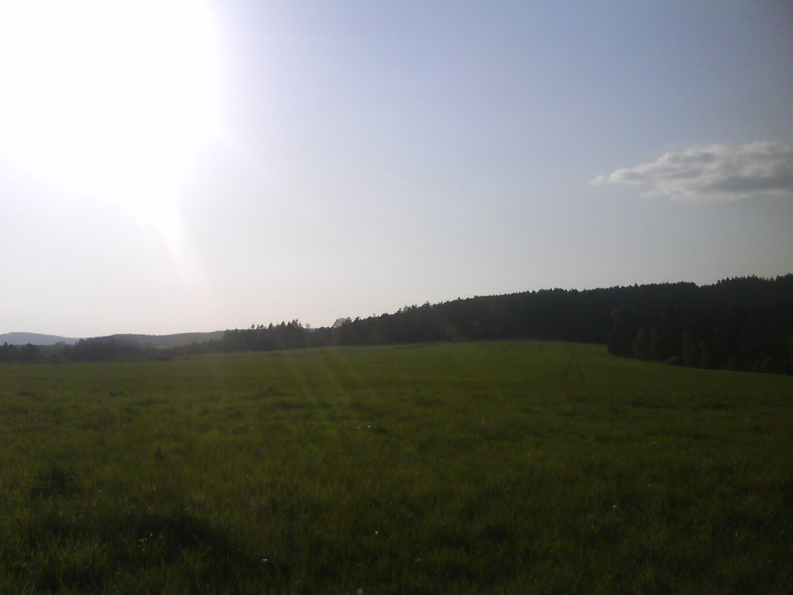 DSC01469.JPG