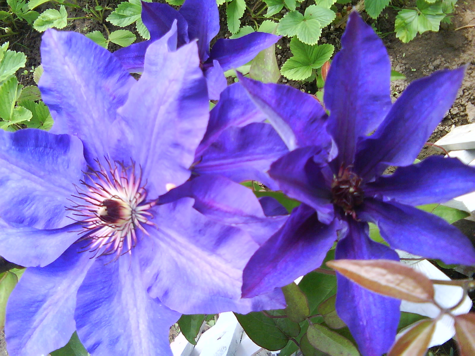 DSC01500.JPG