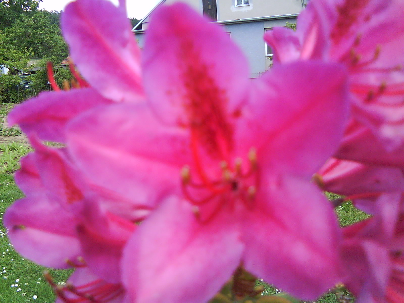 DSC01501.JPG