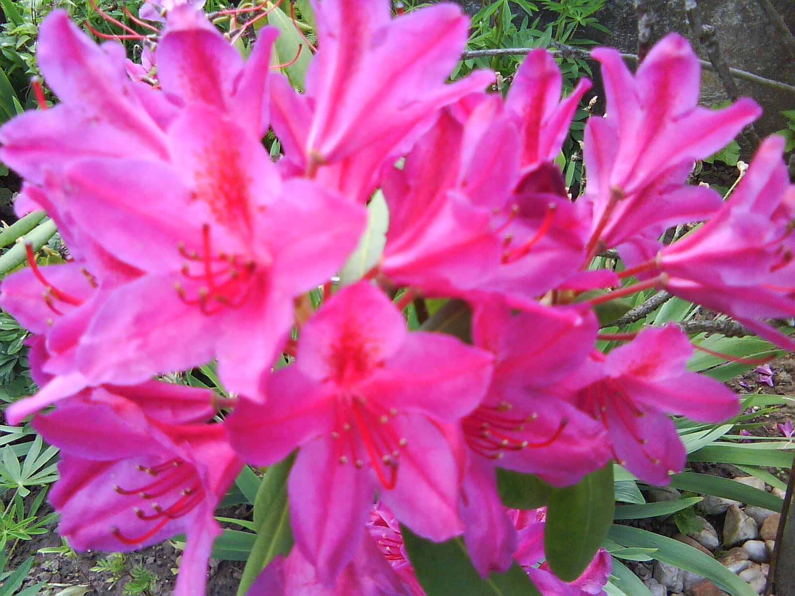 DSC01504.JPG