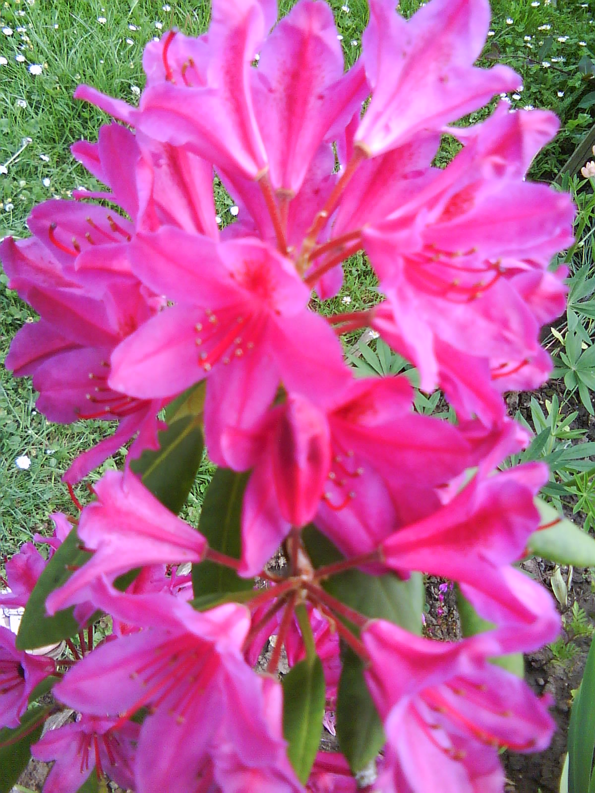 DSC01505.JPG