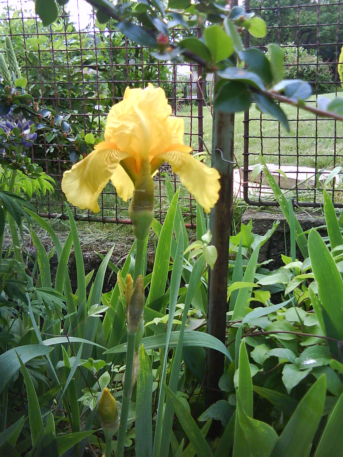 DSC01506.JPG