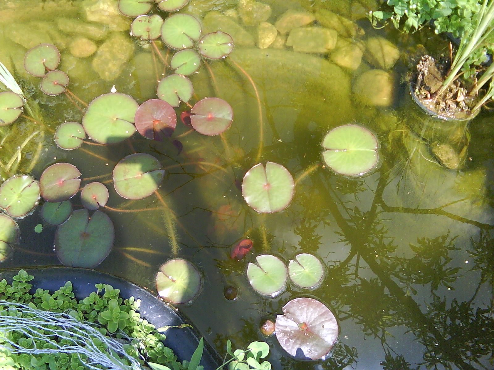 DSC01511.JPG