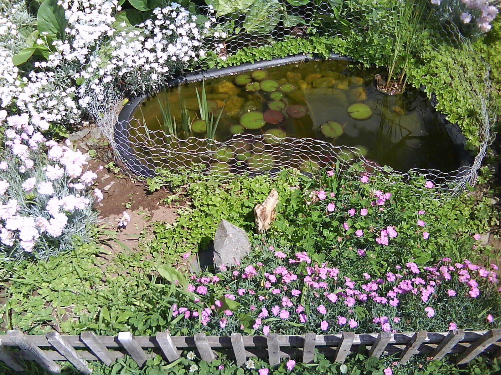 DSC01515.JPG
