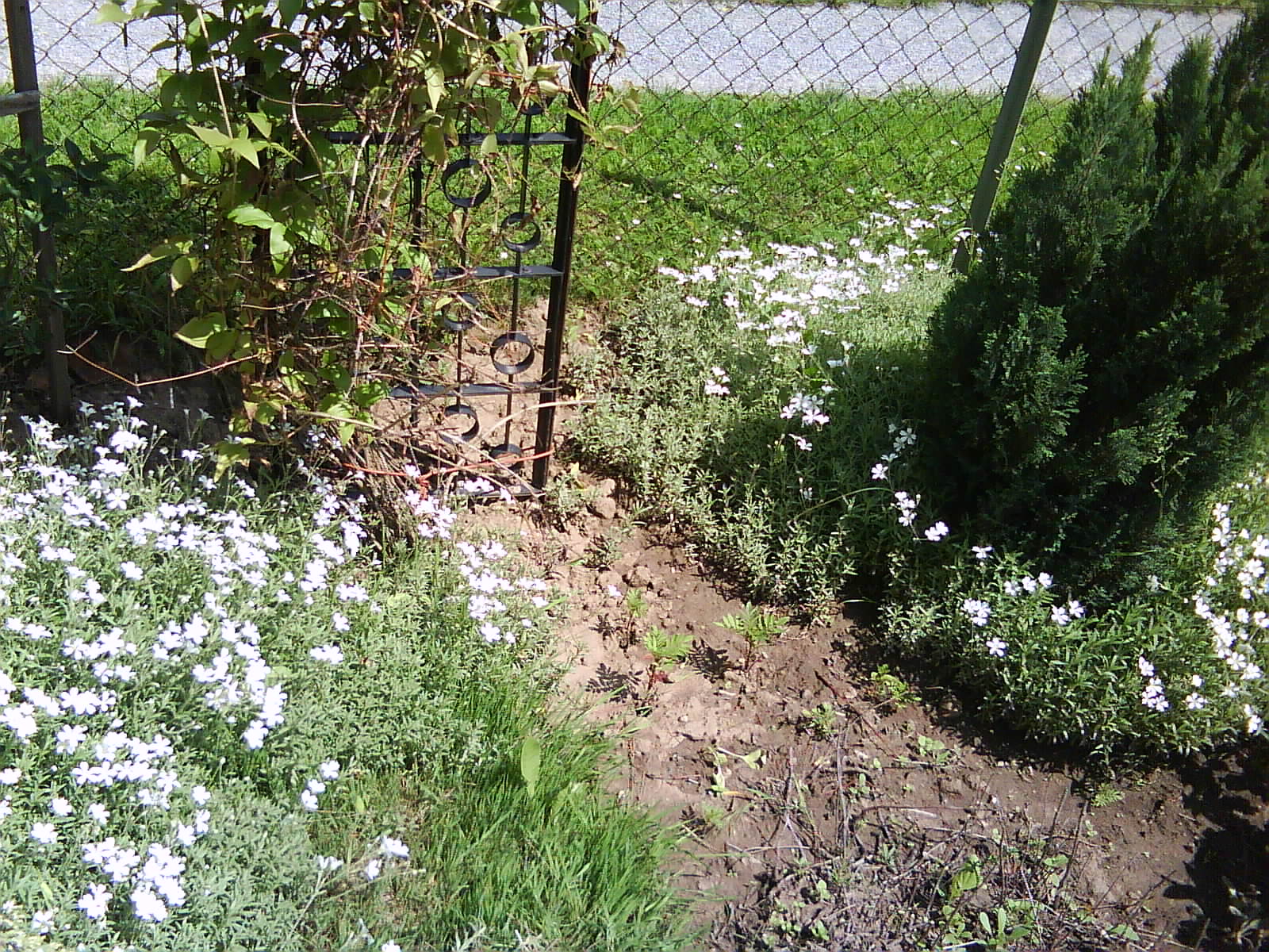 DSC01517.JPG