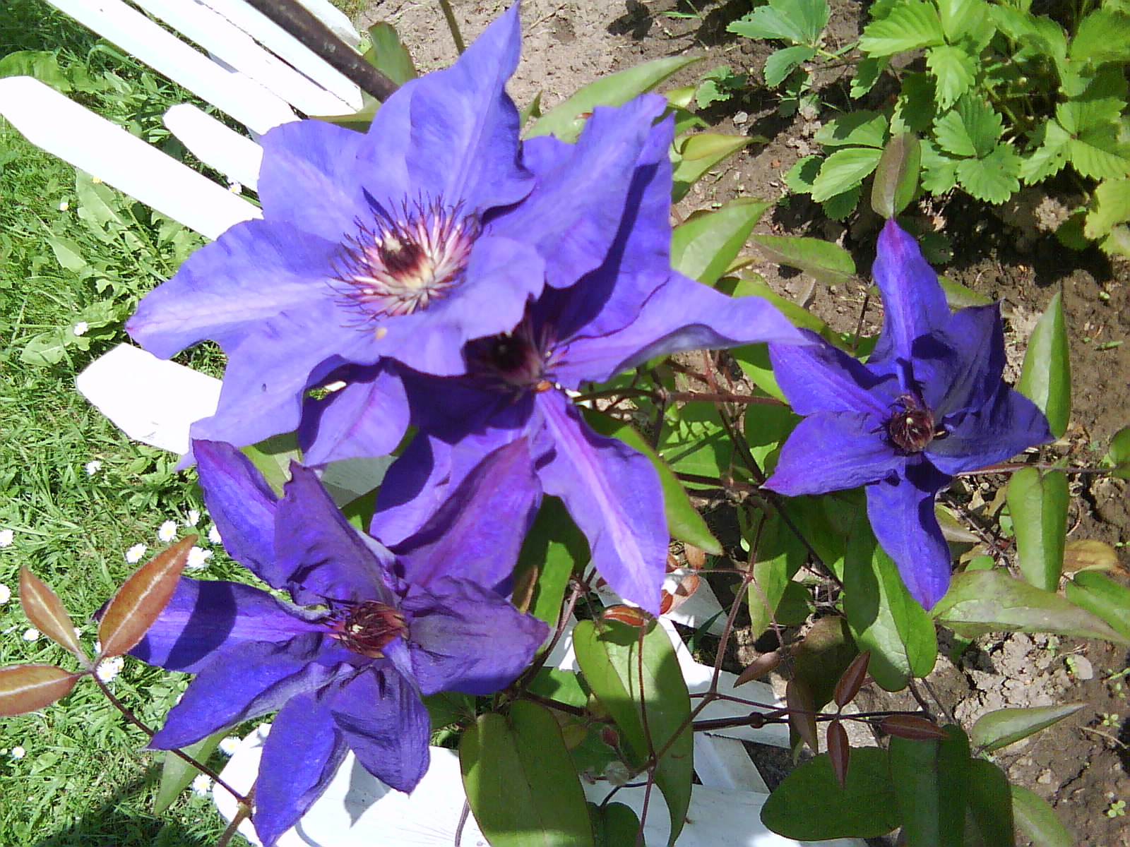 DSC01529.JPG