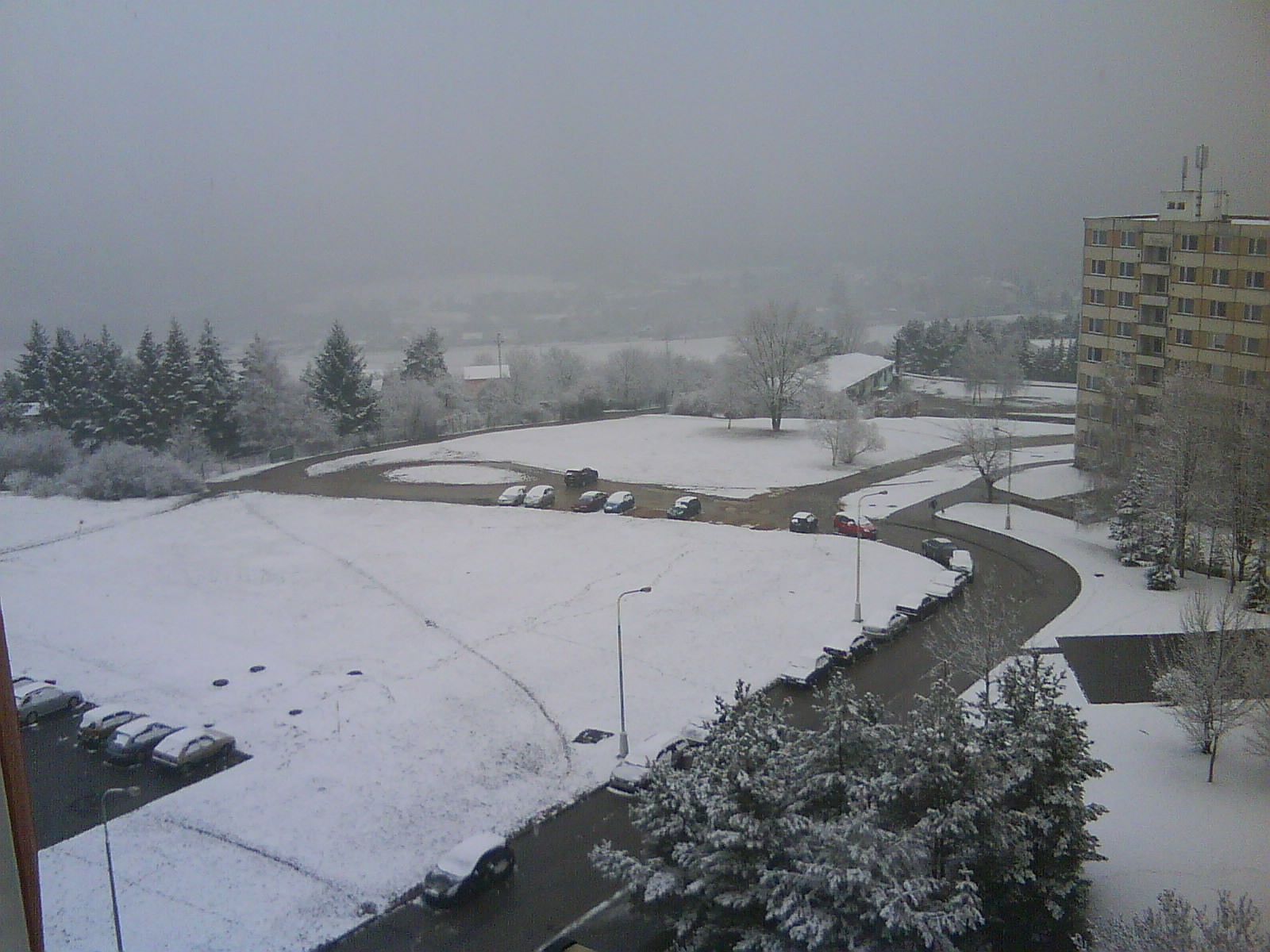 DSC00480.JPG